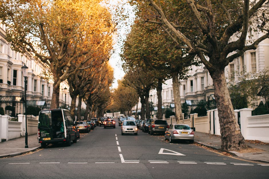 A residential street scene in Maida Vale during daytime, featuring white Victorian-style terraced houses with decorative facades and large windows on either side of the road. Tall mature trees with autumnal foliage line the pavement, creating a canopy over parked cars including a black van with company branding, which is positioned close to a residential driveway. The parked vehicles are a mix of compact and sedans, with some partially obscured by the trees. The van appears to be in the process of loading or unloading furniture or boxes as part of a home relocation service. The pavement is clean and well-maintained, with street lamps and fencing visible along the sidewalk. The natural lighting suggests the photo was taken in late afternoon, highlighting the autumn colors and the orderly arrangement of vehicles and homes, aligning with house removals, furniture transport, and packing and moving operations in the Maida Vale area, as handled by Maida Vale Man and Van.